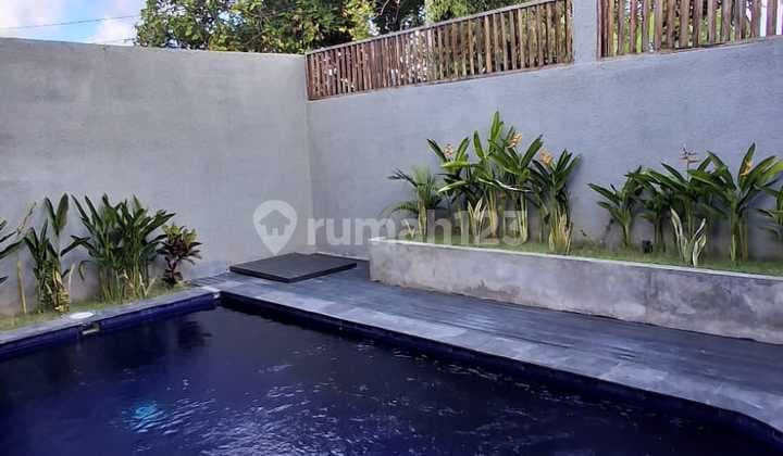 For Rent New Villa 2 Bedroom di Padonan Tibubening, Kuta utara