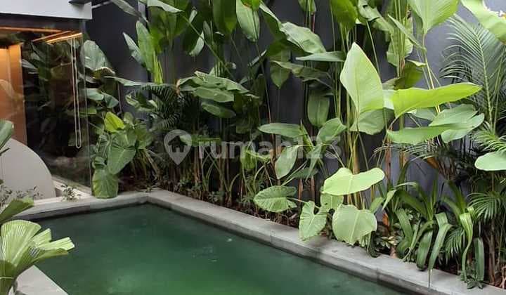 For Sale New Villa 3+1 Bedroom Fully Furnished In Canggu