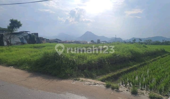 Dijual Tanah Sawah Di Margaasih Kopo