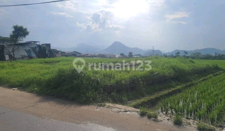 Dijual Tanah Sawah Di Margaasih Kopo