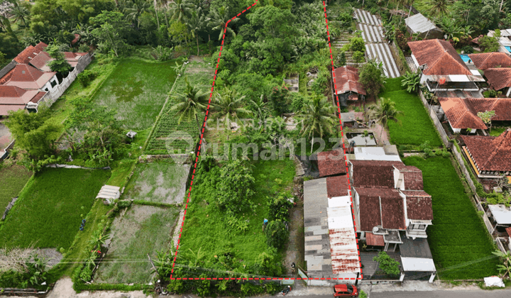Tanah Luas 3675m2 Di Pakembinangun Cocok Untuk Bisnis Usaha