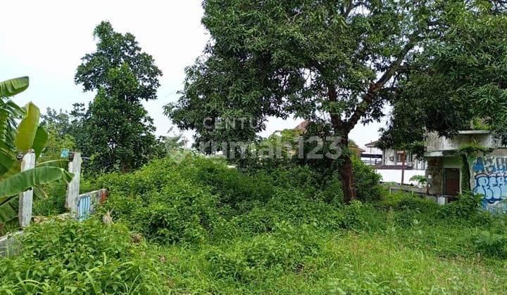 Tanah Pekarangan Luas 319 M2 Di Jl Ringroad Utara Maguwoharjo