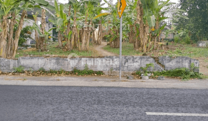 Tanah Pekarangan 1019m2 Di Pinggir Jalan Utama Segoroyoso Bantul