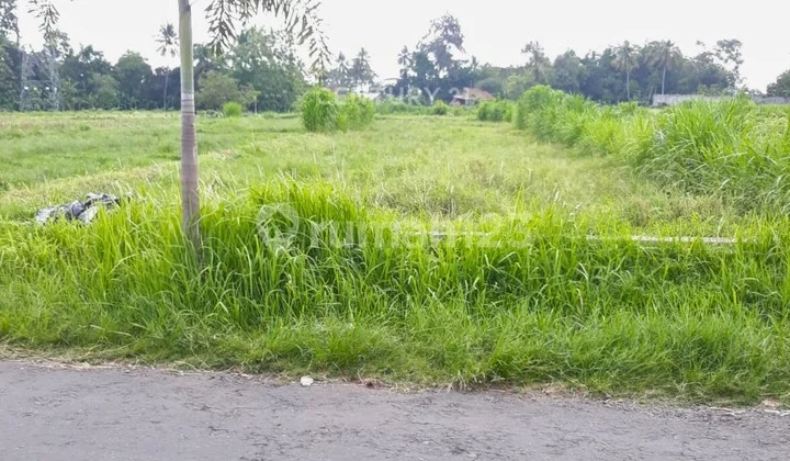 Tanah 774m2 Di Wedomartani Cocok Untuk Bisnis Kuliner Tanah 774m2 Di Wedomartani Cocok Untuk Bisnis Kuliner