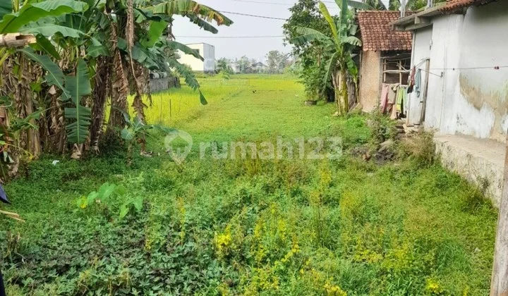 Tanah Sawah 549m2 Di Jambidan Banguntapan Cocok Untuk Investasi