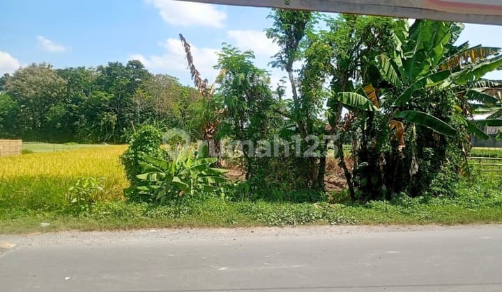 Tanah Sawah Dan Pekarangan Di Maguwoharjo Dekat RS Hermina