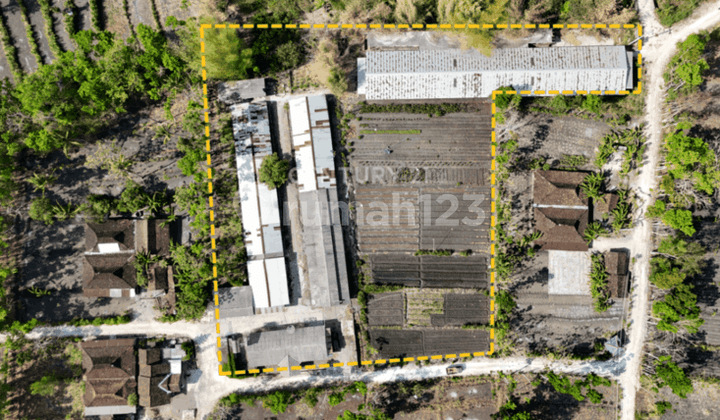 Tanah Bisa Langsung Buka Usaha Ternak Luas 7909 Mtr Di Playen GK