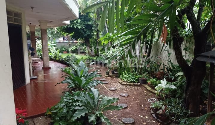 Dijual Rumah Dengan Tanah Luas Di Hook Cikini Jakarta Pusat