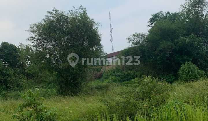 Tanah Dekat.kampus.ipb