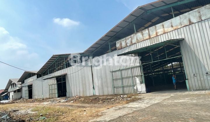 Disewakan Gudang/Pabrik Luas 8100Meter di Mauk Tangerang