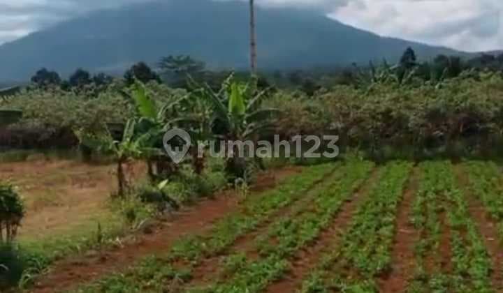 Lahan View.gunung Salak.& Gunung Pangrango