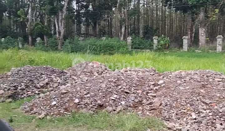 Gudang/ Eks.pabrik Garmen