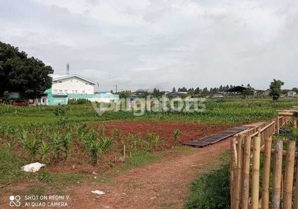 Dijual Cepat Tanah Kosong Ditangerang Dekat Pintu Tol Cocok Untuk Bangunan Pabrik / Gudang / Perumahan & Ruko