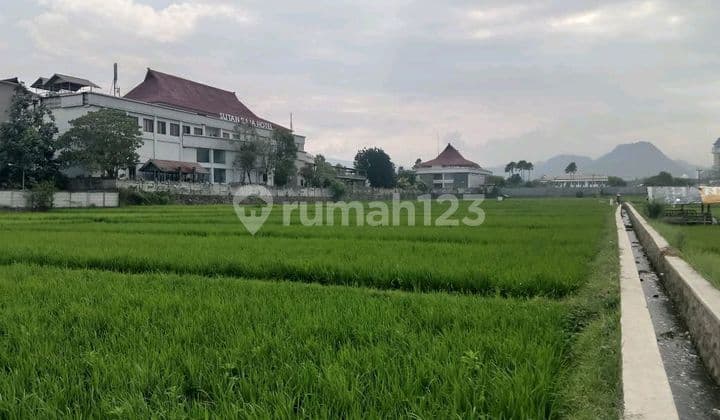 Tanah Sawah Lokasi Strategis Area Pemda Soreang