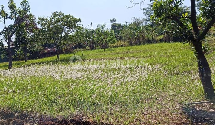Jual Tanah Murah Batujajar/Cimareme LT 2510m² Jual Tanah Murah Batujajar/Cimareme LT 2510m²