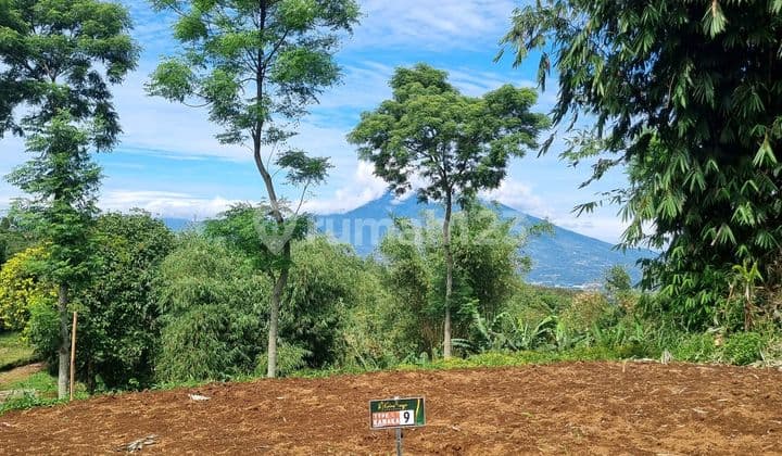 Tanah Kavling Murah Akses Mobil Puncak Bogor View Gunung