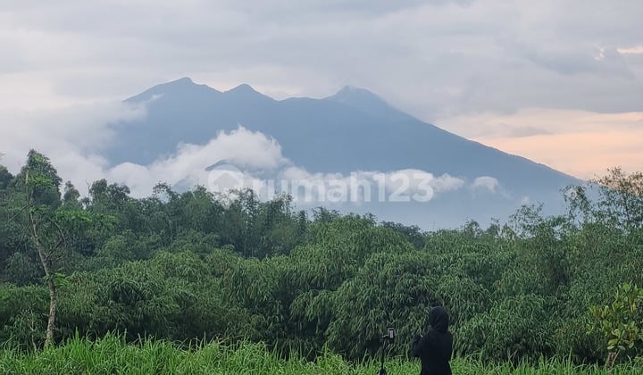 Tanah Kavling Shm Puncak Bogor Akses Dekat Tol Ciawi View Gunung