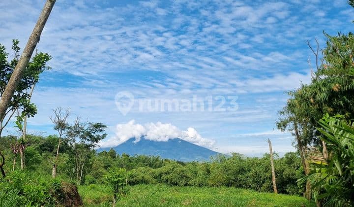 Tanah Murah Akses Dekat Tol View Gunung Salak Pangrango Free Shm