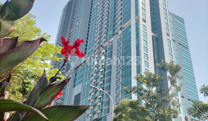 Apartemen Holland Village Jakarta 3 Kamar Tidur Unfurnished Baru