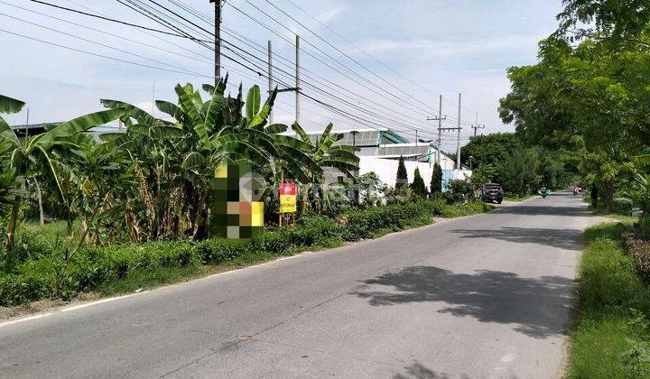 Tanah Industri Raya Kutorejo Bangsal Mojokerto