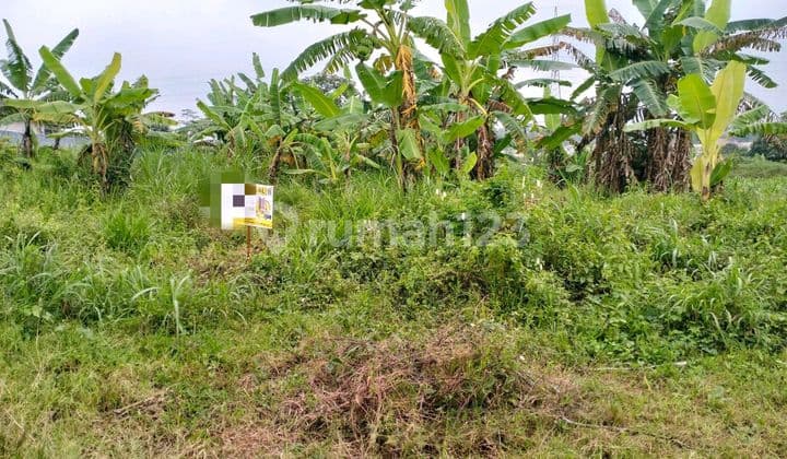 Tanah Kavling Di Perum Navy Residence Ketindan Lawang