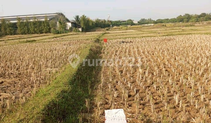 Easy Access Land in Serang Baru, Bekasi, Land Area 440m², Developing Area