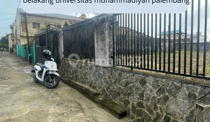 Tanah Belakang Universitas Muhammadiyah Plaju Palembang