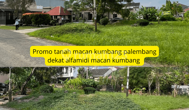 Tanah Tengah Kota Lokasi Kancil Putih Palembang