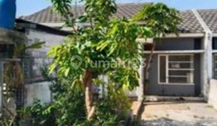 For Sale Cheap Auction Housing Wringinanom Gresik