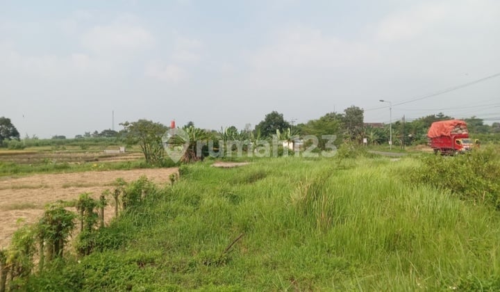 Dijual Tanah Lelang Murah Dlanggu Mojokerto