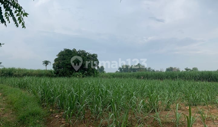 Dijual Tanah Lelang Murah Wringinanom Gresik