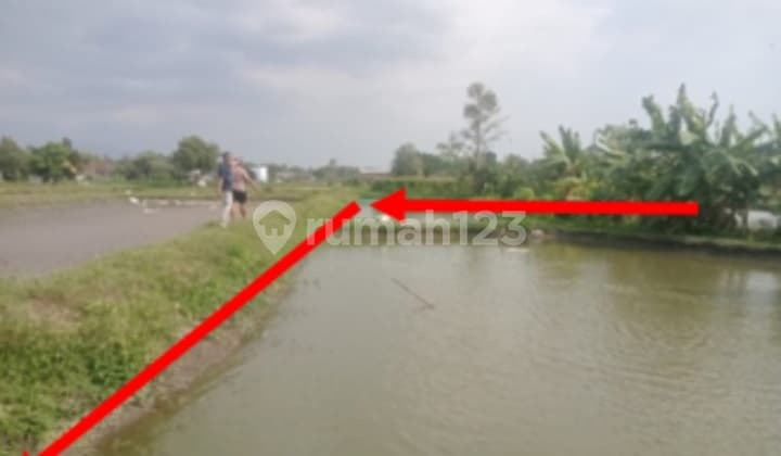Cheap Auction Sale of Fishpond Land in Kediri