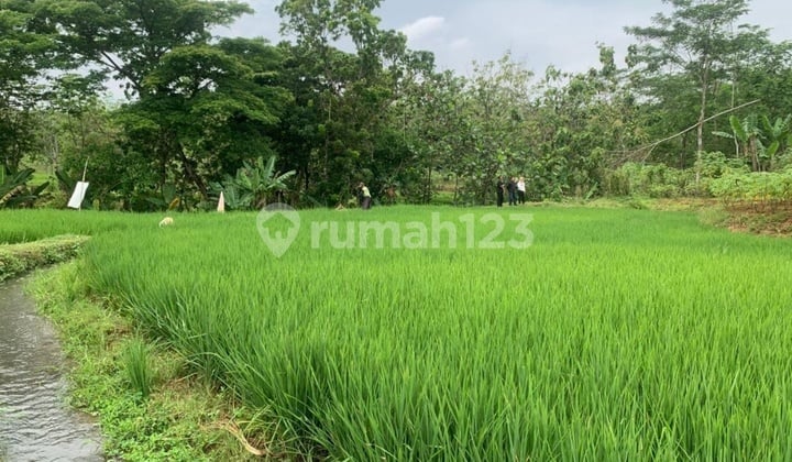 Dijual Tanah Lelang Murah Karanganyar Surakarta