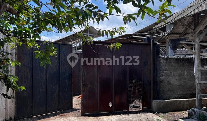 For Sale by Auction: Land and Building in Tutul Village, Balung Subdistrict, Jember Regency