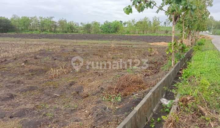 Land for Sale in Katur Village, Gayam District, Bojonegoro