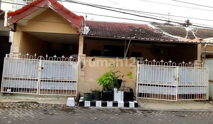 Dijual Cepat Rumah 1 Lantai Suterejo Tengah