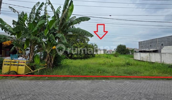 Di Jual Via Lelang Tanah di Randupandangan Gresik