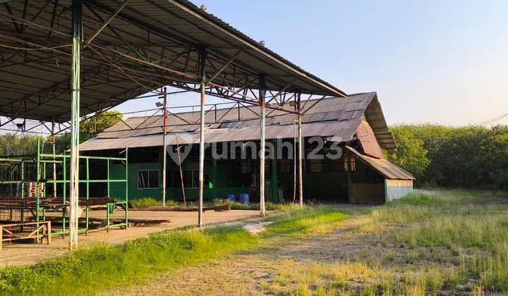 Dijual Lahan Marunda Cilincing Jakarta Utara