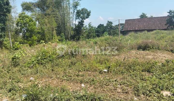 tanah wisata, view kota dan gunung pacet. cocok untuk villa dan kebun