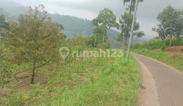 For Sale: Tourist Land, 1198m2 SHM Paragliding Rock. Suitable for villa and cafe.