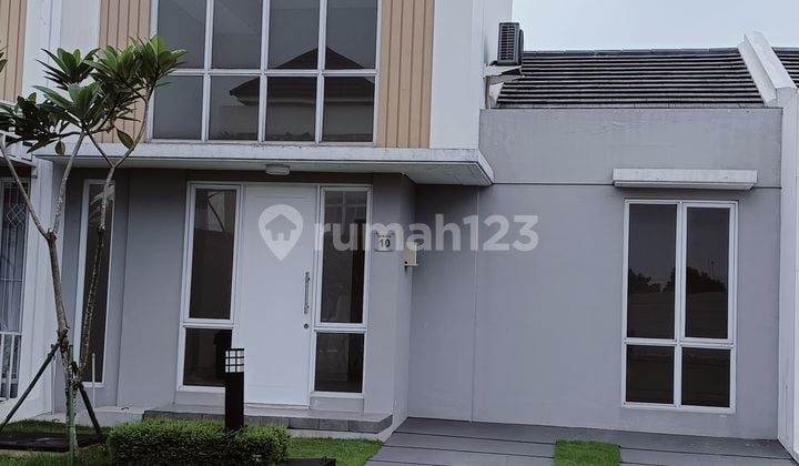 Canna Petals House Good Ready to Occupied