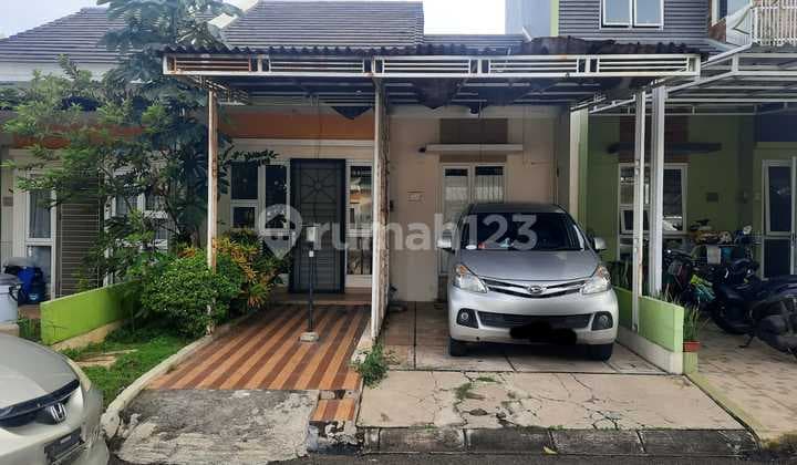 Di Sewakan Rumah 2Lt , Bebas Banjir Paradise Serpong