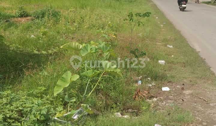Tanah di Pinggir Jalan Raya, Arah Pemda Tigaraksa Kab. Tangerang