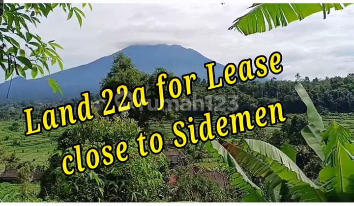 Flood-Free, Land, 1 Floor, SHM, Near Tourist Attractions, Ready to Occupy