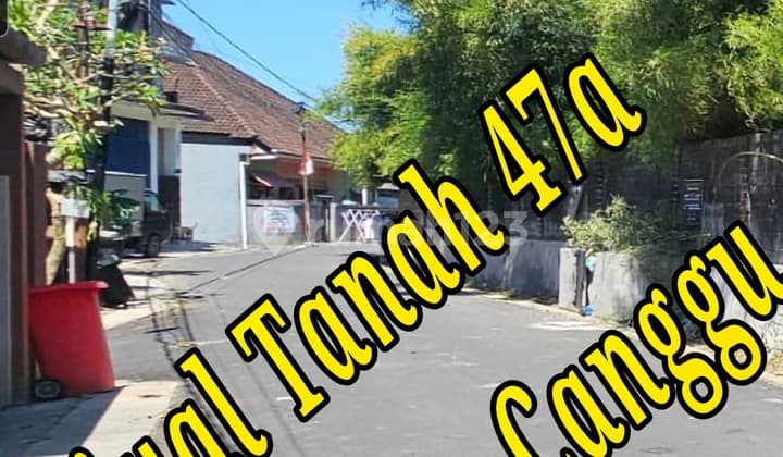 Bebas Banjir, Tanah, 1 Lantai, SHM, Dekat Sekolah Internasional, Siap Huni,