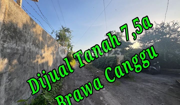 For Sale 7.5a Land in Jln Pantai Brawa Canggu Bali Area, Land at Pantai Berawa, Jl. Pantai Berawa, Tibubeneng, North Kuta, Badung, Bali, Indonesia, 80361, Canggu SHM 758.0 m²
