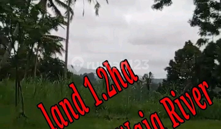 Tanah Dijual Lokasi Atas Sungai Telaga Waja Karangasem Bali