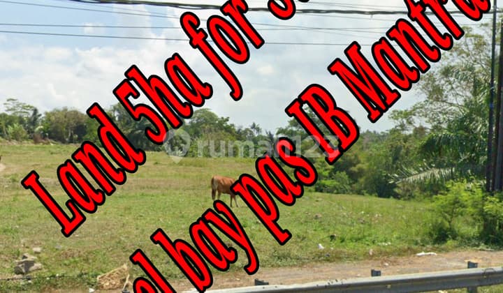 Dijual Tanah Di Pinggir Jln Raya Bay Pas Ib Mantra Ketewel Bali Tanah di Jl. Prof. Dr. Ida Bagus Mantra, Ketewel, Kec. Sukawati, Kabupaten Gianyar, Bali, Ketewel SHM 50000.0 m²