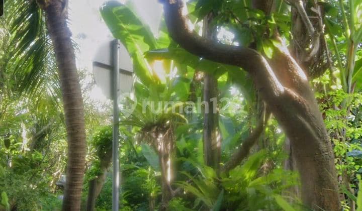 Land for Sale, 1Ha on the Edge of the Main Road Bay Pas Ib Mantra Biaung, East Denpasar, Bali. Land at the Gate of Jalan Prof Dr Ida Bagus Mantra, Jl. Prof Ida Bagus Mantra, Kesiman Kertalangu, East Denpasar, Denpasar City, Bali, Indonesia, 80237, East Denpasar SHM 9500.