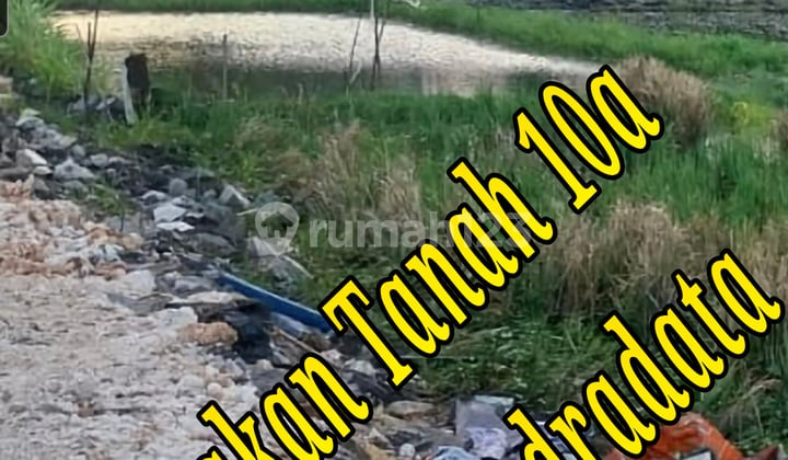 Disewakan Tanah 10 di Area Jln Mahendradata Denpasar Barat Bali